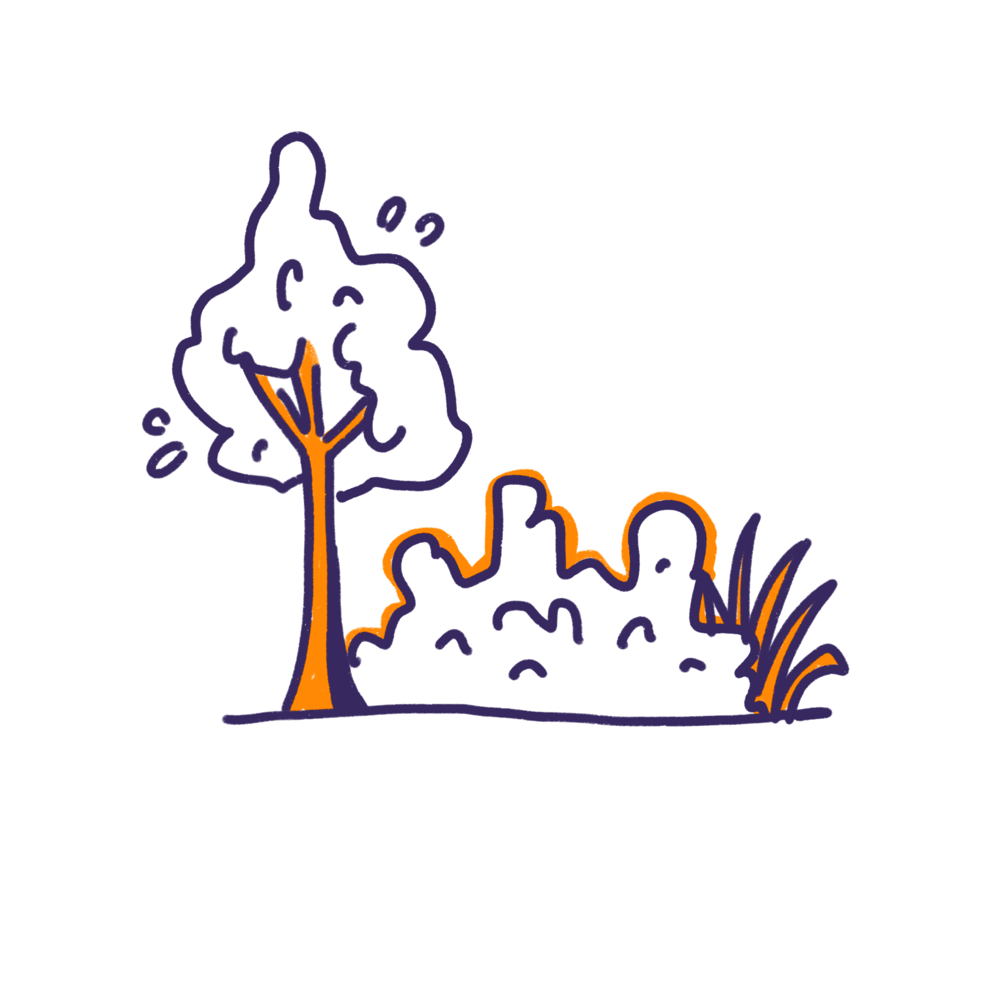 l'aménagement extérieur et le jardin